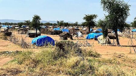 Hunger crisis could kill more people in Sudan than civil war violence – charity