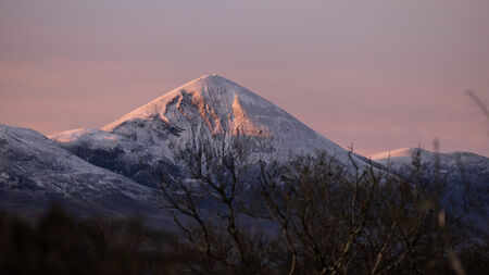 Some worthwhile things to do this New Year