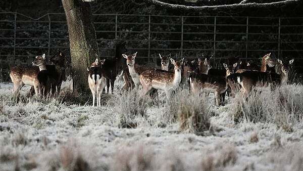 Met Éireann warn of 'multi-hazard weather event' over the weekend