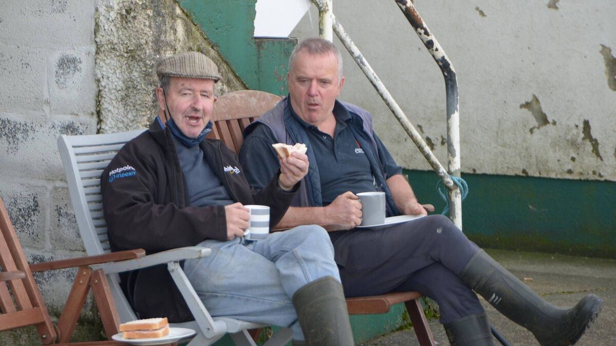 The perfect mug of tea