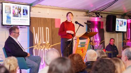 Author Sally Rooney among objectors to proposed Data Centre