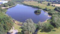 Uisce Éireann is fined after Mayo fish kill