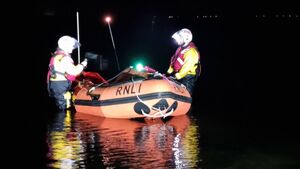 Lifeboat comes to aid of stranded dolphins Lifeboat comes to aid of stranded dolphins