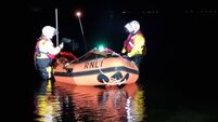 Lifeboat comes to aid of stranded dolphins 