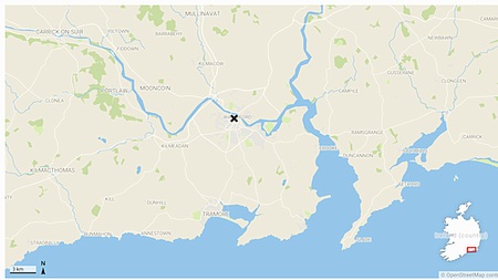 Gardaí launch investigation after death of woman (20s) in Waterford
