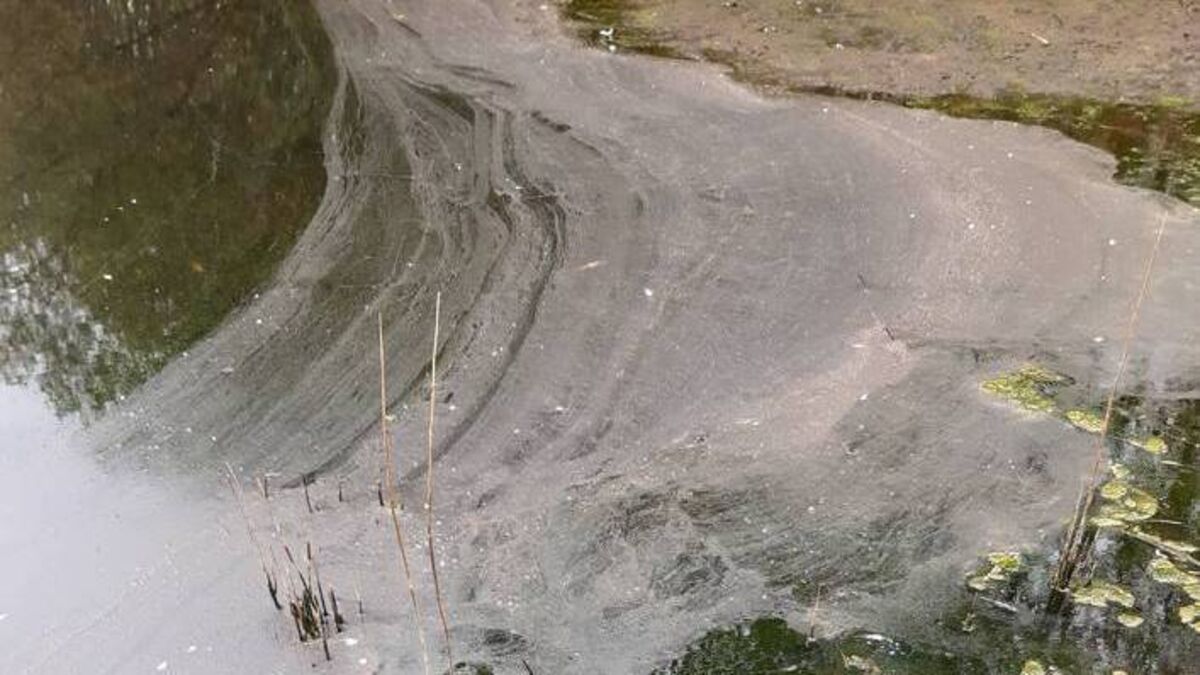 Mayo lake 'may take years' to recover from pollution incident