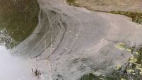 Mayo lake 'may take years' to recover from pollution incident