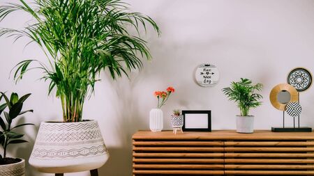 The minimalist lifestyle is just not for me