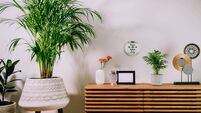The minimalist lifestyle is just not for me
