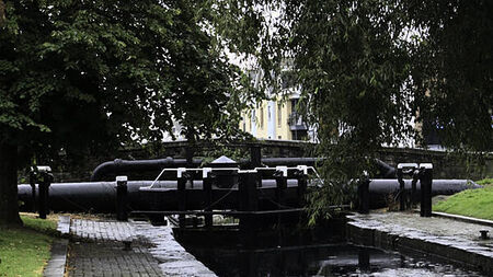 Council to clean Dublin 'cherry tomato bridge' as landmark goes viral