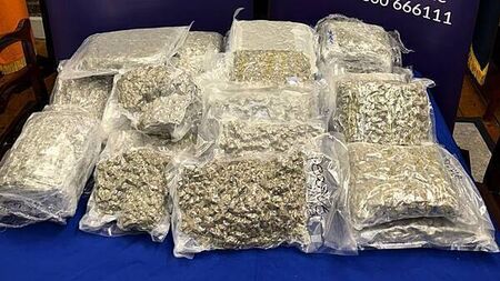 Man arrested and €400,000 cannabis seized in Swords