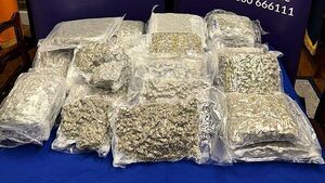 Man arrested and €400,000 cannabis seized in Swords Man arrested and €400,000 cannabis seized in Swords