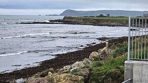 Dead whale washed ashore on rocks in Waterford Dead whale washed ashore on rocks in Waterford