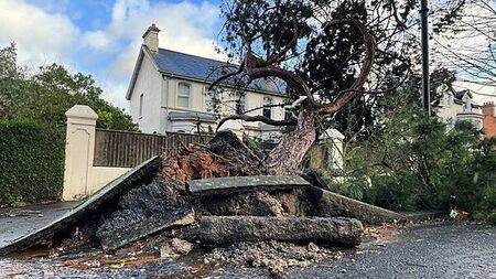 More than 240,000 without power in NI after Storm Éowyn batters region