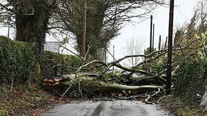 Storm Éowyn: Army should be called in to help vulnerable, TD says