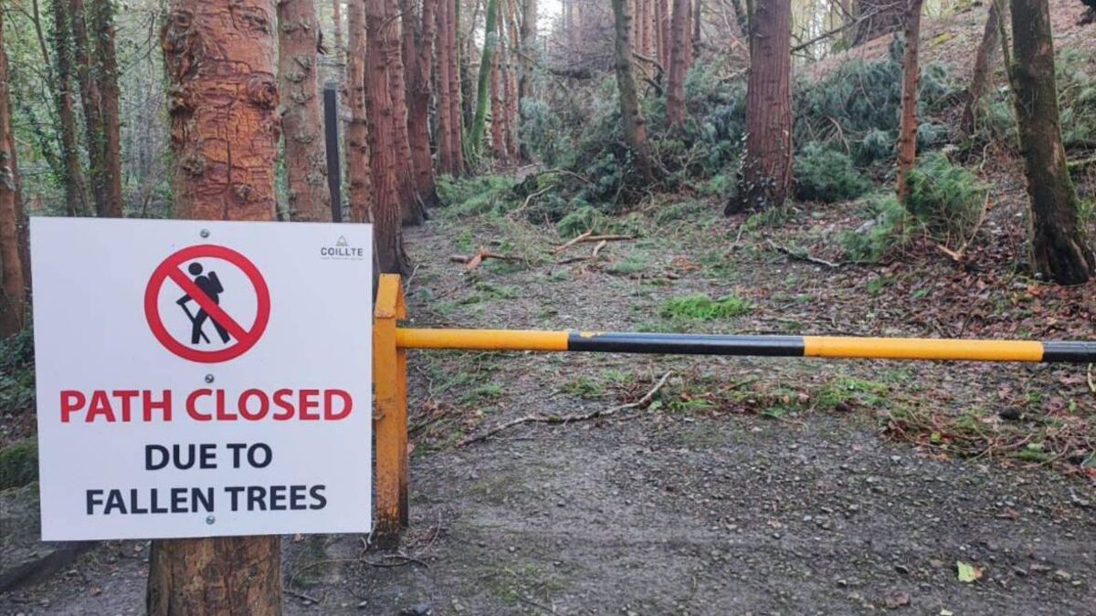 ALERT: Popular Ballina area closed for three weeks due to Storm Éowyn damage