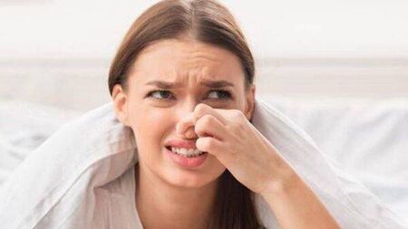 Unbearable smell continues to plague residents in Mayo town