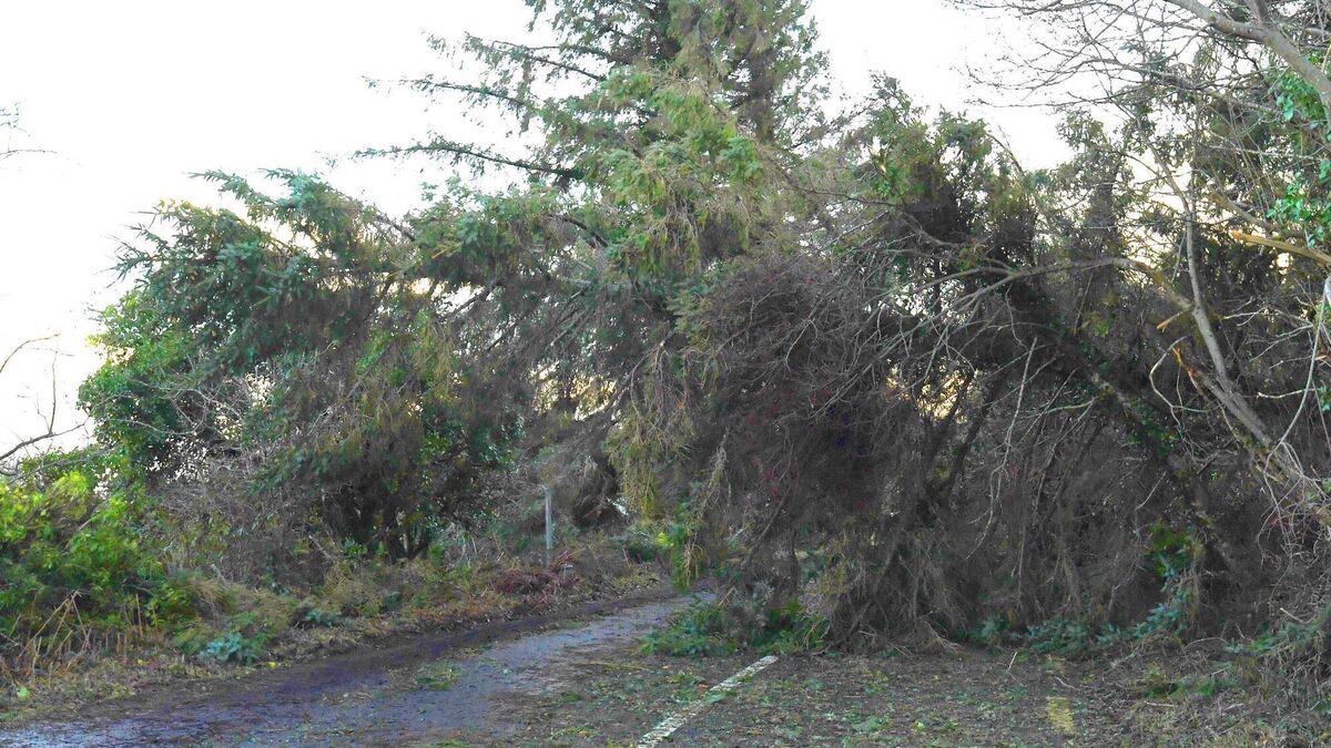 People left 'in dire straits' after Storm Éowyn