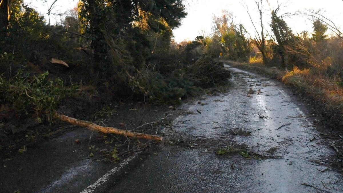 Government must learn lessons from Storm Éowyn