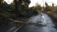 Government must learn lessons from Storm Éowyn