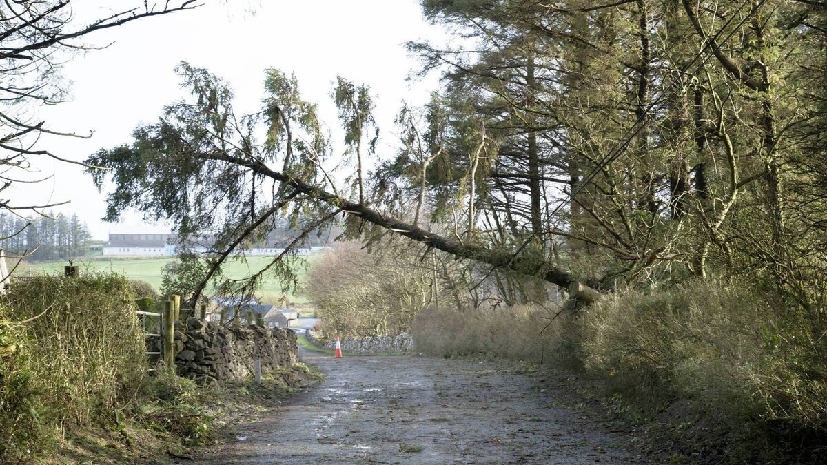 West Mayo councillors demand new policies for future storms