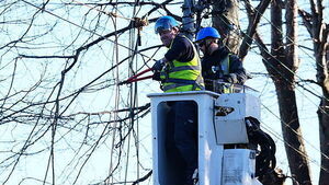 Storm Éowyn: ESB making progress but 76,000 still without power Storm Éowyn: ESB making progress but 76,000 still without power