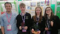 A great victory for Ballinrobe students