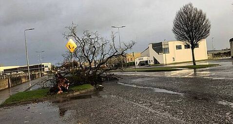 Christina McHugh: As Storm Éowyn swept in, I prayed that the roof would remain on the house