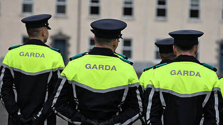 Most Garda divisions had fewer frontline officers last year, figures show