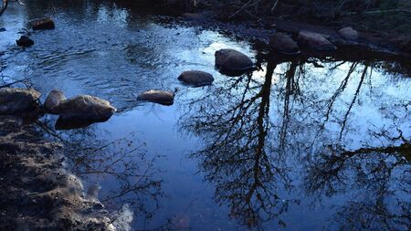 Snapshots from opposite sides of the world