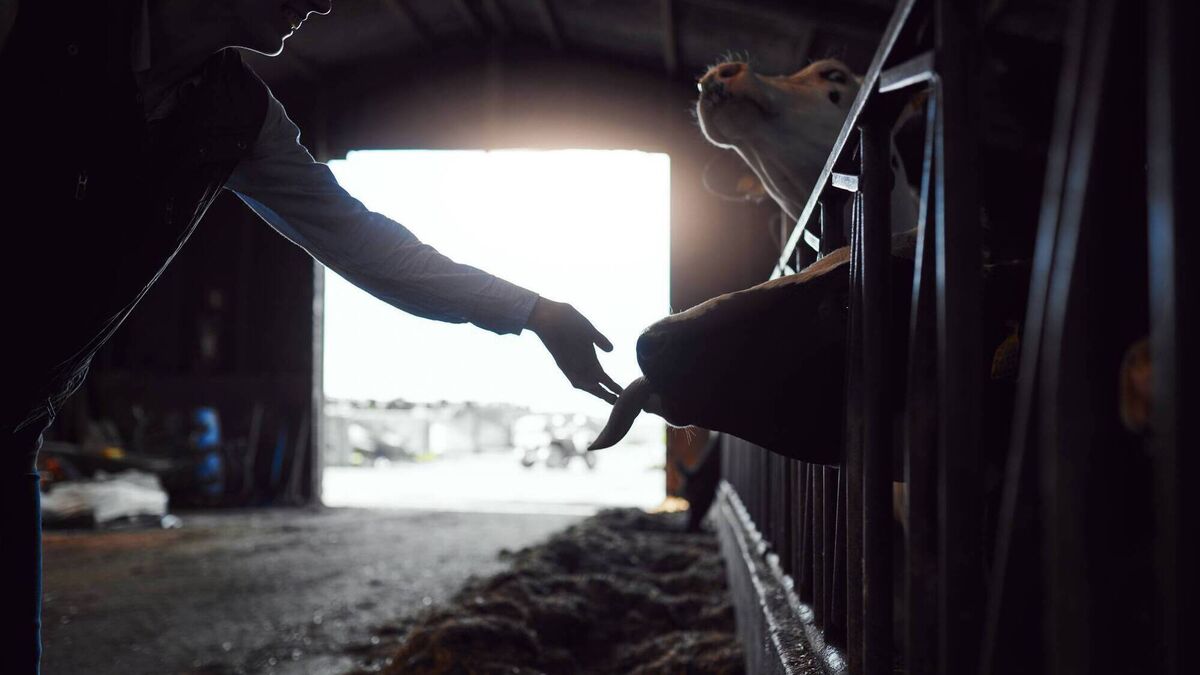 West of Ireland farmer brought to hospital due to no heat or power for two weeks