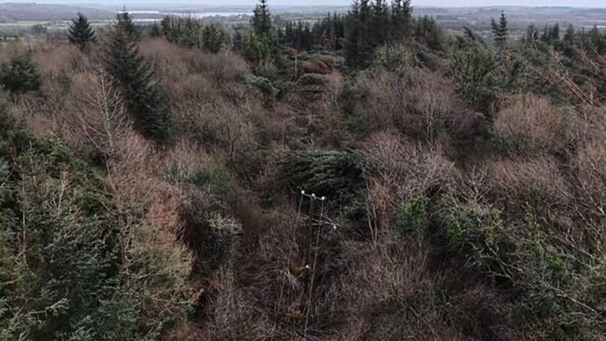 Storm Éowyn's impact lingers: 'It's day 16 without power. It's like living in the Twilight Zone'