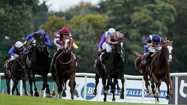 Up to 1,000 social and affordable homes set for Leopardstown racecourse