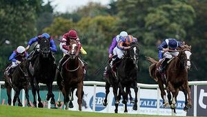 Up to 1,000 social and affordable homes set for Leopardstown racecourse Up to 1,000 social and affordable homes set for Leopardstown racecourse