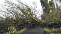 Revealed: The number of Mayo homes restored to services following Storm Éowyn