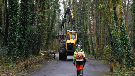 'Safety is our absolute priority' - Public asked to stay clear of popular Mayo area