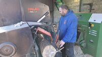 Firewood vendor wants crackdown on 'cowboys'