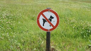 'NO DOG ZONE' designated at popular Mayo town park