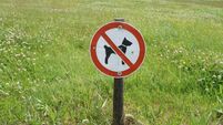 'NO DOG ZONE' designated at popular Mayo town park