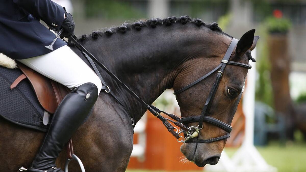 Congratulations: Mayo native honoured thanks to sport talent