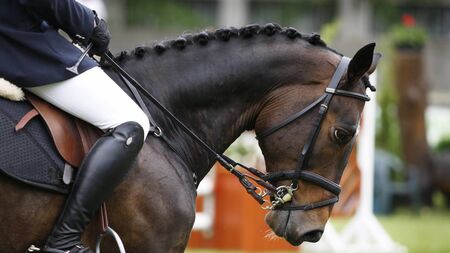 Congratulations: Mayo native honoured thanks to sport talent