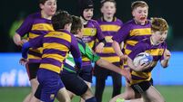 Young men, old rivals and a lost rugby soul