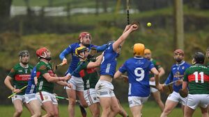 Mayo ease to second win as Lavin hits net again Mayo ease to second win as Lavin hits net again