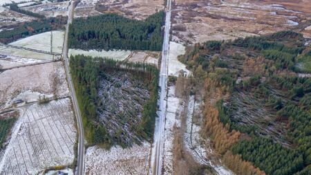 Forestry owners still counting cost of storm