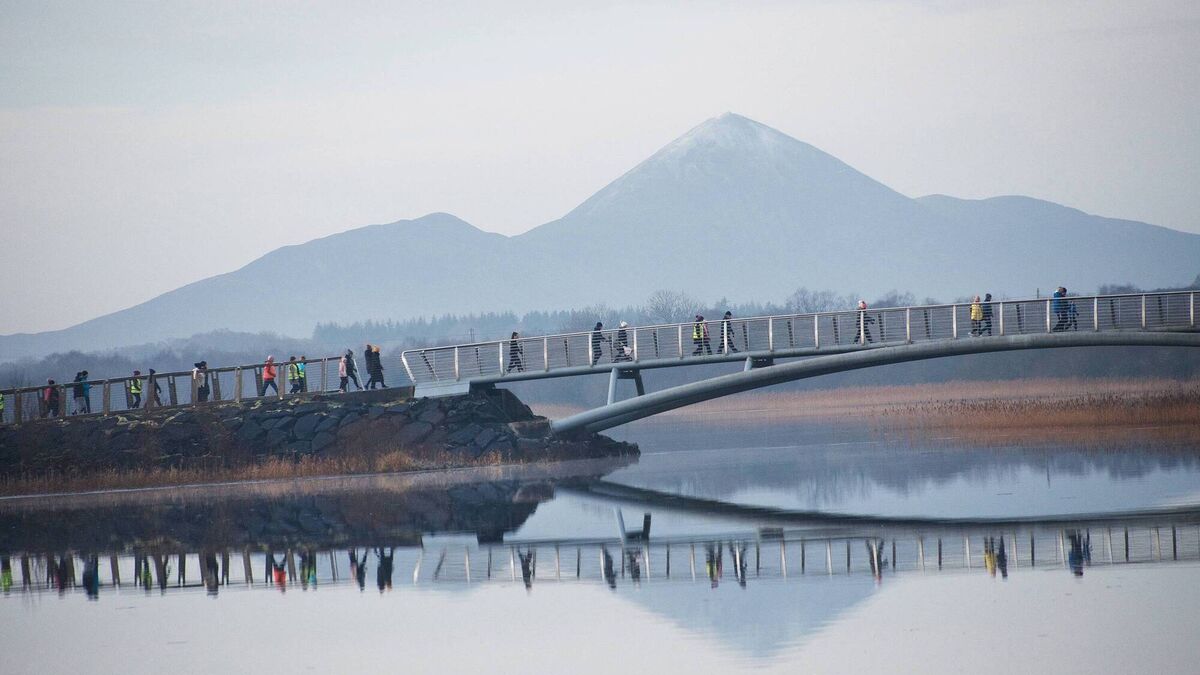 Mayo councillor hailed for role in dramatic rescue