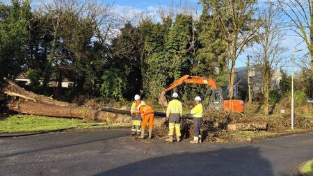 UK firm with West of Ireland roots played key role after Storm Éowyn