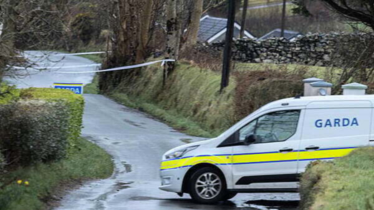 Teenager and man (20s) killed following single-vehicle collision in Co Donegal