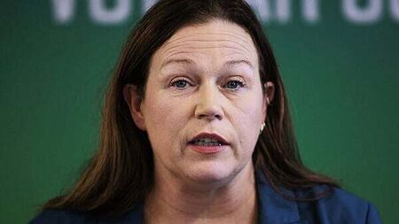 Taoiseach urged to ‘speak up’ for Gaza and Ukraine during Trump meeting