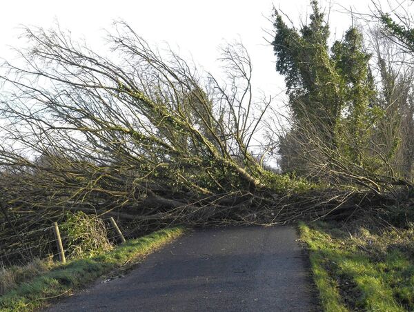 A fallen tree near Garracloon, Knockmore, makes the road completely impassable due to the hurricane force Storm Eowyn which crossed the country last Friday. Picture: David Farrell Photography A fallen tree near Garracloon, Knockmore, makes the road completely impassable due to the hurricane force Storm Eowyn which crossed the country last Friday. Picture: David Farrell Photography