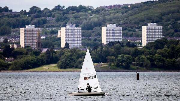 Belfast Lough shellfish industry collapsing in ‘real time’ as water quality drops
